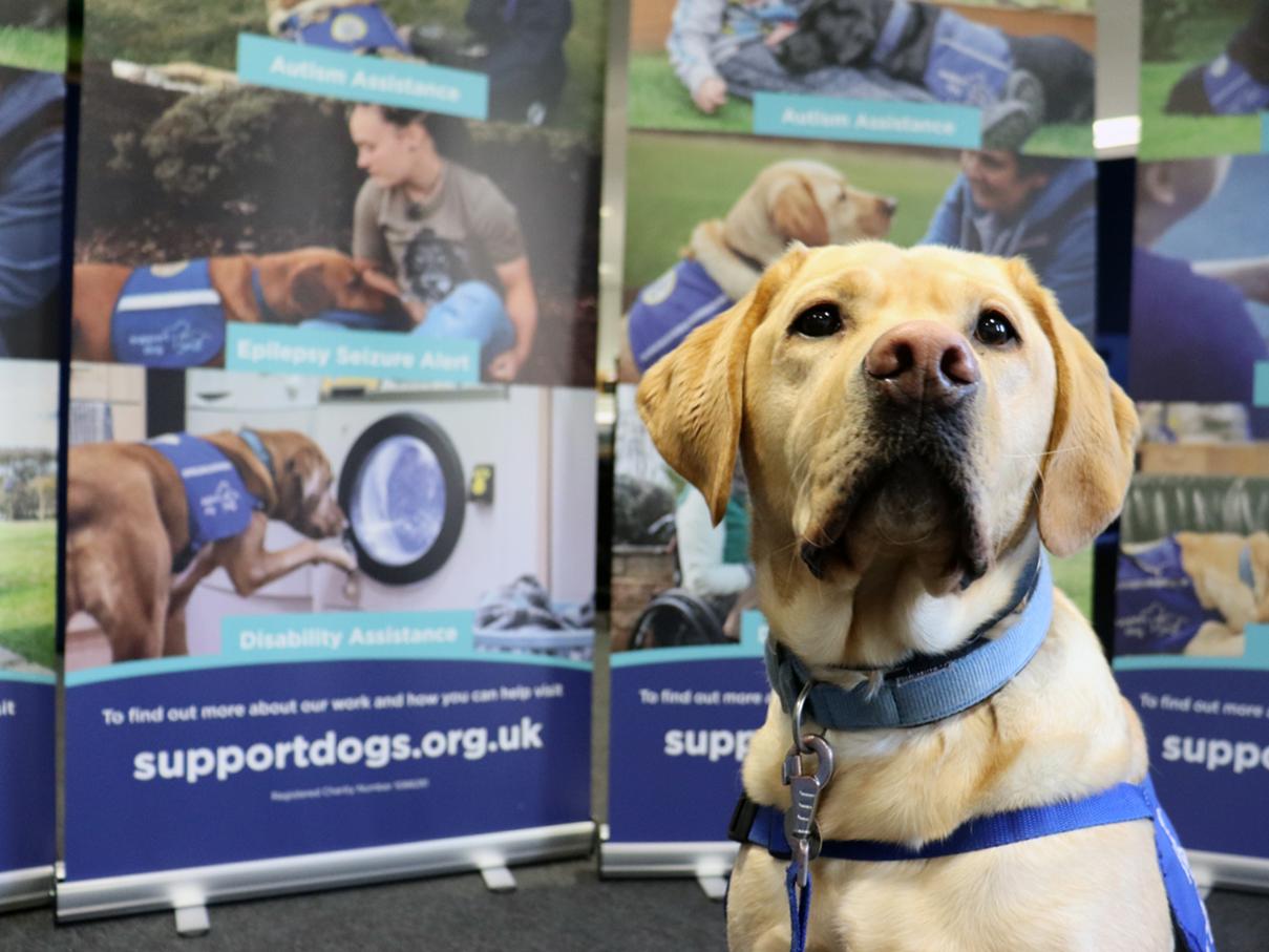 Description of image 7